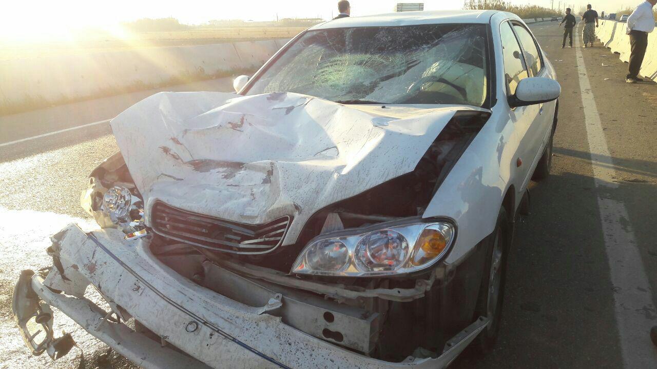 گزارش تصویری از منتخب عملیاتهای انجام شده در دی ماه 96